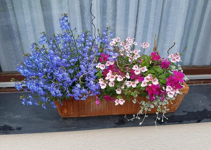 Апартаменты Hideout